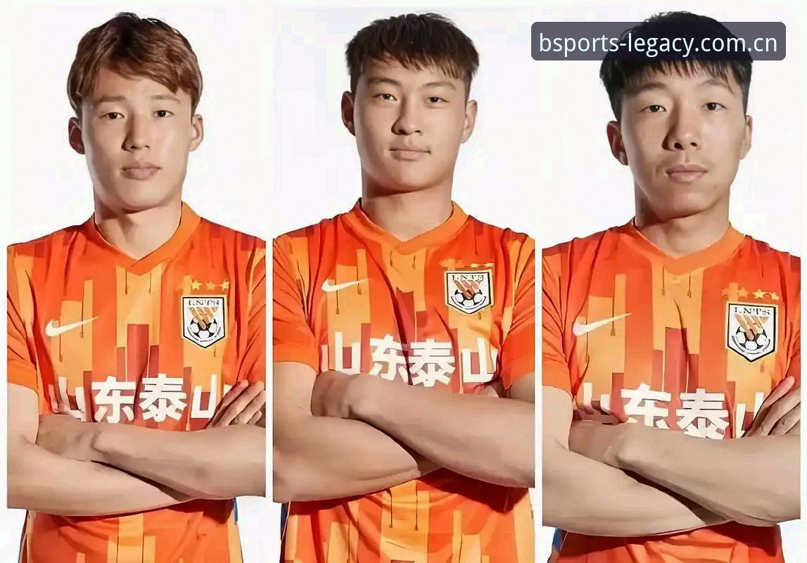 中国足协第三批禁足名单全面解析——bsport体育平台老用户深度分享行业震荡背后的真相